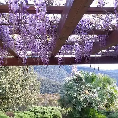 Villa Manobianco Biodola Scaglieri