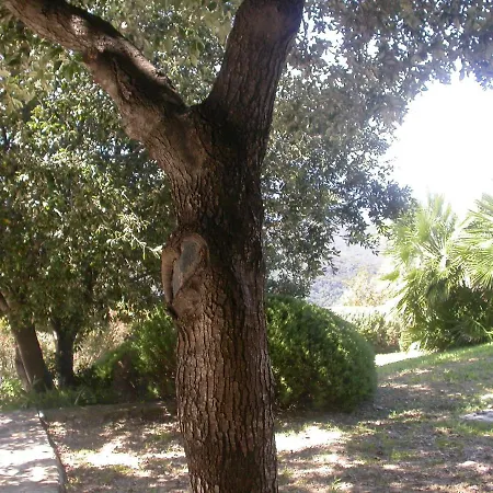 Villa Manobianco Biodola Scaglieri