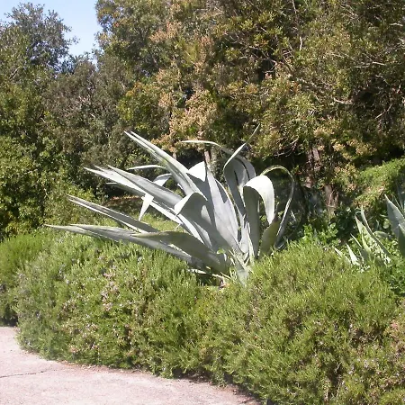 Villa Manobianco Biodola 别墅 *